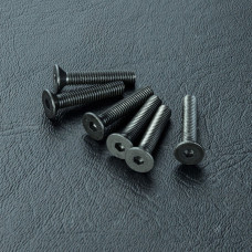 Countersunk screw M3X16 (6)