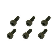 Cap screw M3X6 (6)